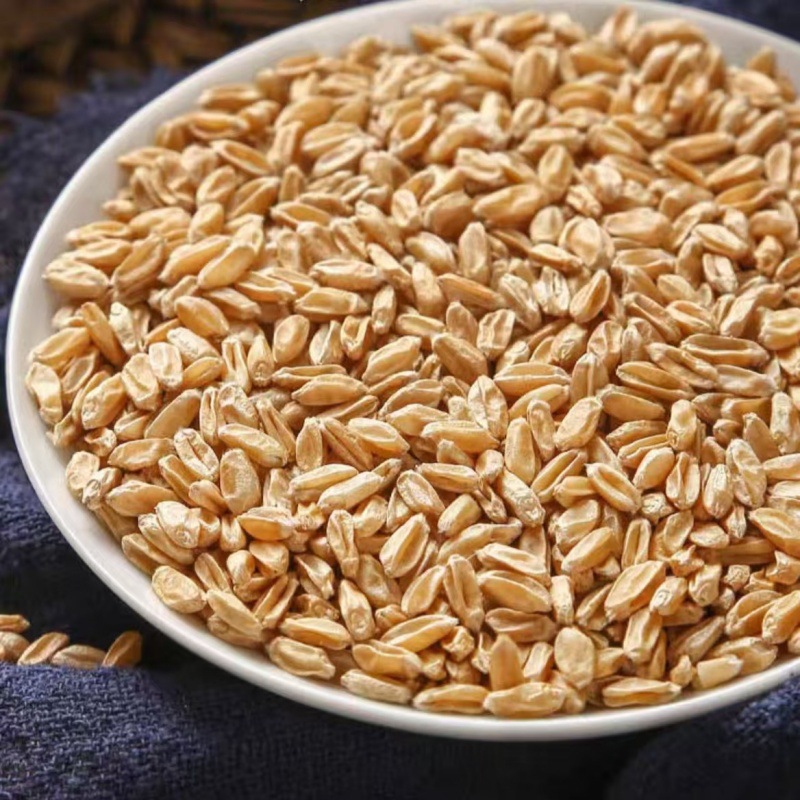 Fu Xiao Mai (Triticum aestivum) — Naturally Sun-Dried Light Wheat for Tea & Soup - Image 2
