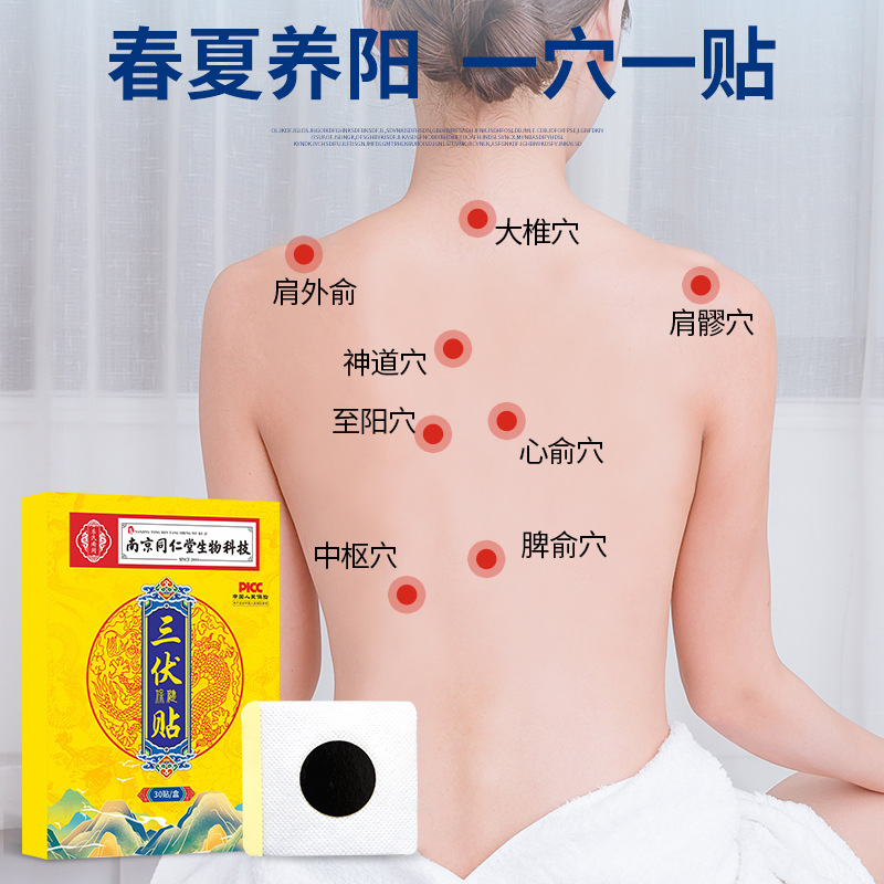 Mugwort Sanfu Acupoint Patch 30 Patches Herbal Warming Body Patch - Image 2