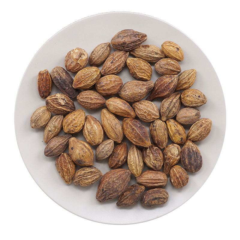 Dried Chebula Fruit He Zi 诃子 Terminalia chebula 500g Traditional Chinese Herb for Decoction and Tea - Image 5