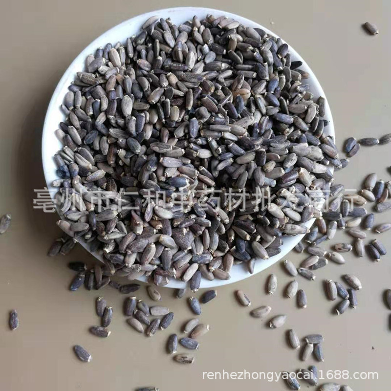 Milk Thistle Seeds (Silybum marianum) — Dried Shui Fei Ji Food Herb, 500g - Image 4