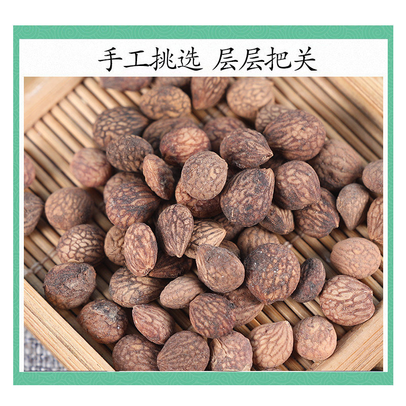 Wild Rui Ren Kernels Rui Ren Zi 500g Dried Prinsepia Seeds Traditional TCM Herb - Image 3