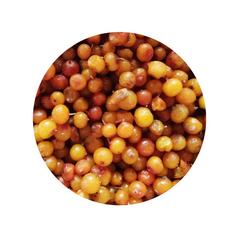 Frozen Wild Sea Buckthorn Berries Fresh Harvest Inner Mongolia 1000 kg Bulk - Image 5