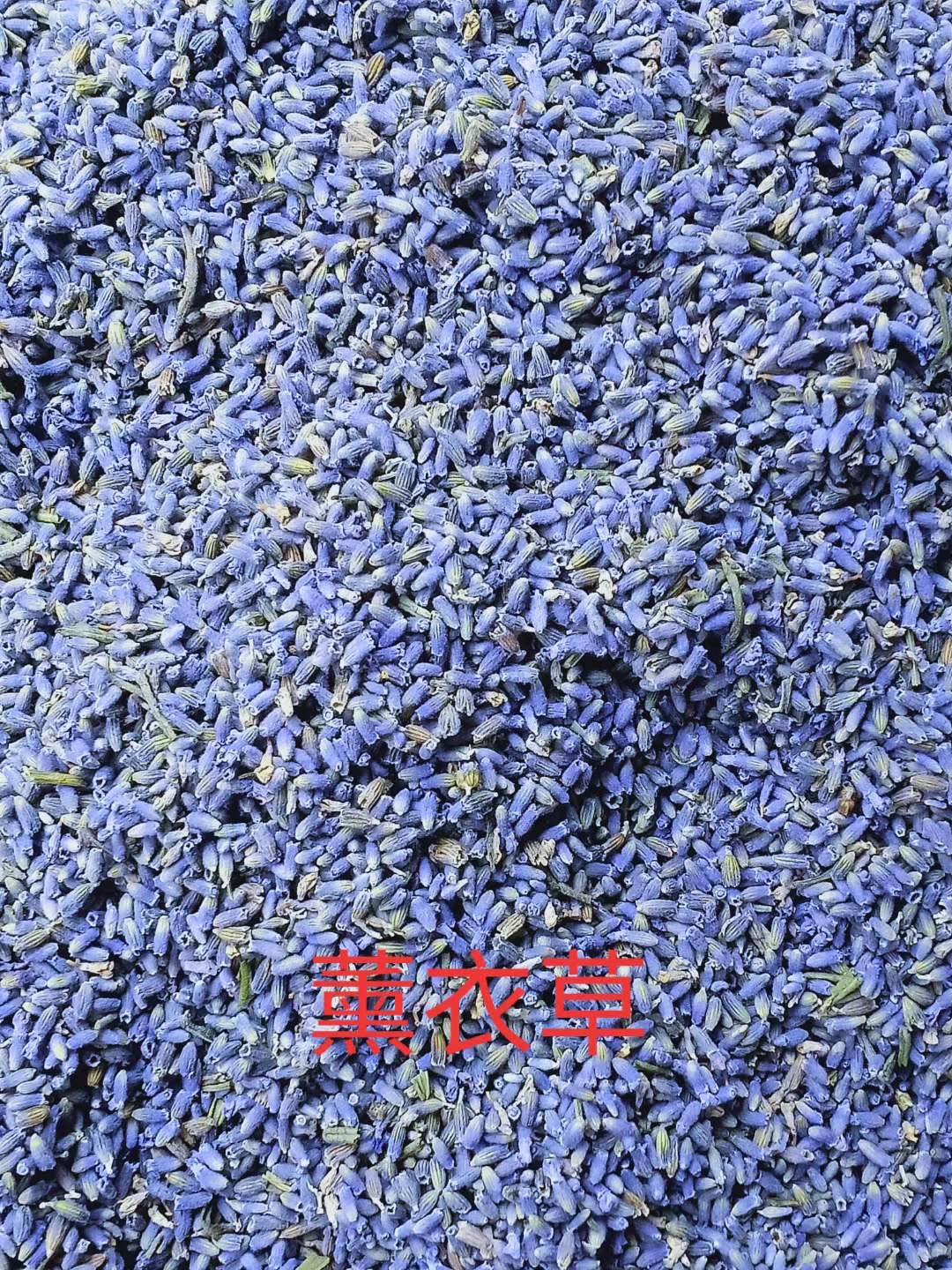 Dried Lavender Buds Xun Yi Cao 1 lb Natural Aromatic Herb for Sachets Pillows and Herbal Blends - Image 2