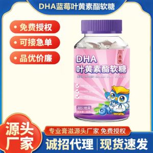 DHA Blueberry Lutein Ester Bursting Soft Gummies — 60g Fruit Gummy Candy