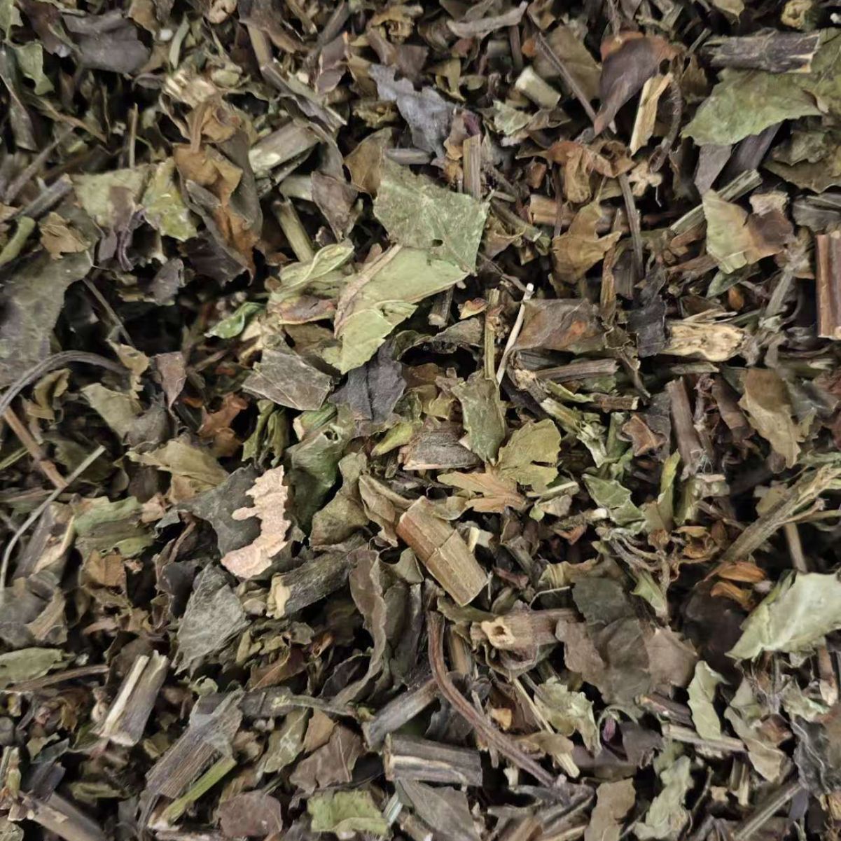 Zhong Jie Feng (Sarcandra glabra) — Dried Herbal Pieces & Custom Powder, 500g - Image 2