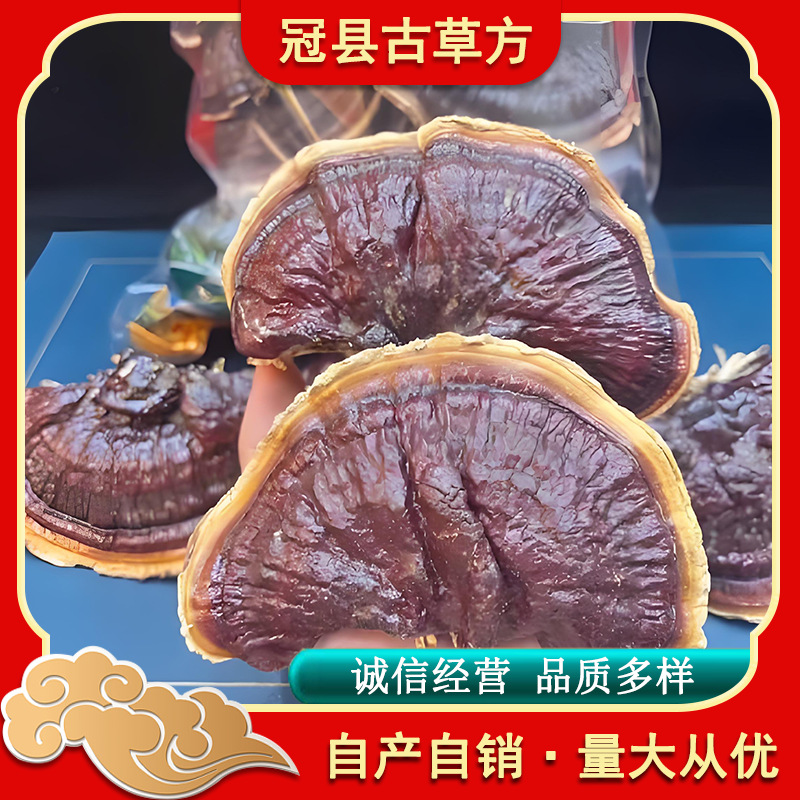 Shandong Gold-Edged Reishi Mushroom Dried Slices Ling Zhi for Tea and Soup - Image 2
