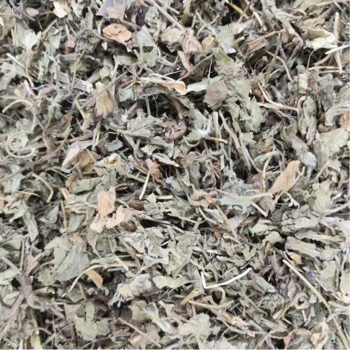 She Mei (Duchesnea indica) — Dried Mock Strawberry Herb, Food-Herb Botanical for Tea & Decoction - Image 5
