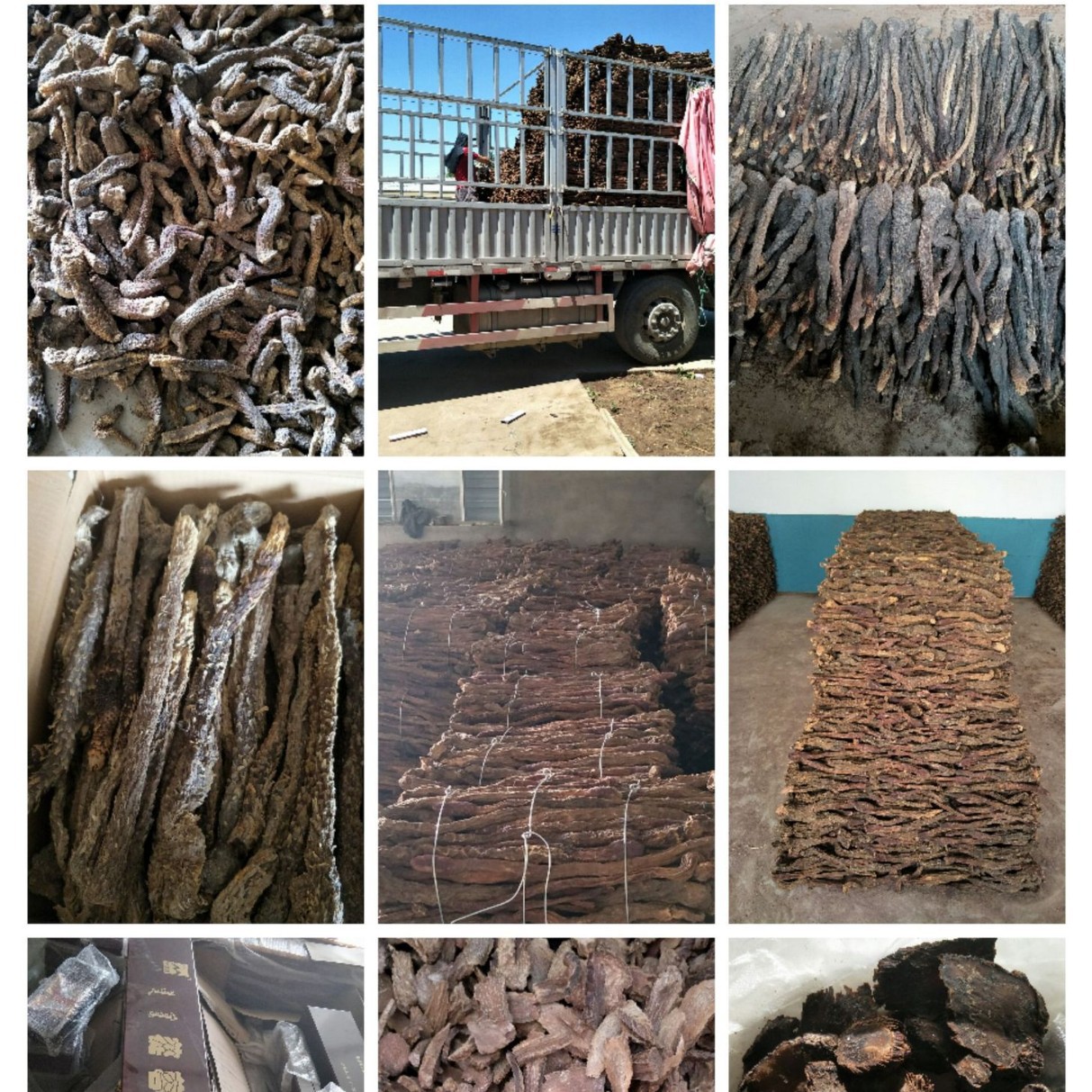 Inner Mongolia Cistanche Slices Rou Cong Rong Dried Herbal Tea Soup and Wine Soaking 500g - Image 3