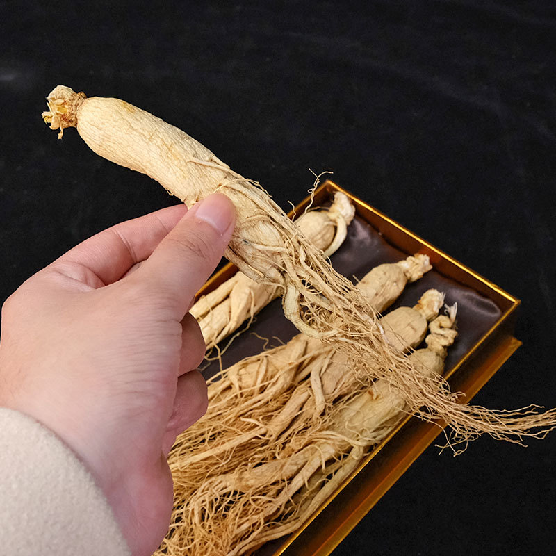 Dried White Ginseng Root Sun-Dried Changbai Mountain Jilin Specialty for Soup Tea and Wine - Image 3