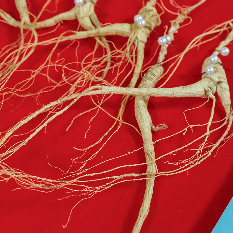 Changbai Mountain Understory Ginseng Gift Box Sun-Dried Whole Root for Soup and Tea - Image 3