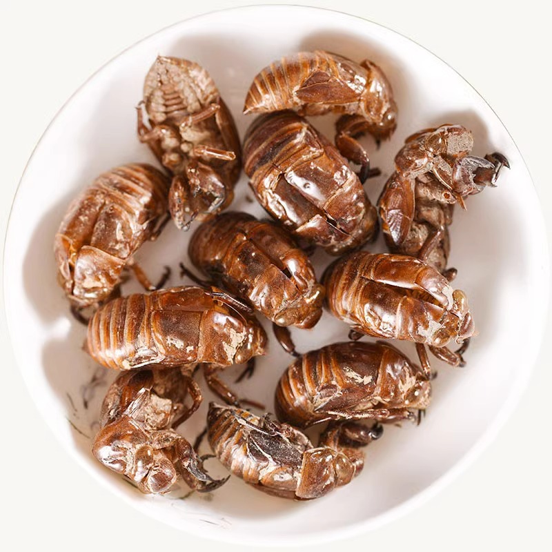 Cicada Slough Chan Tui Whole Dried Cicada Molt Traditional TCM Herb Water Washed 500g - Image 5