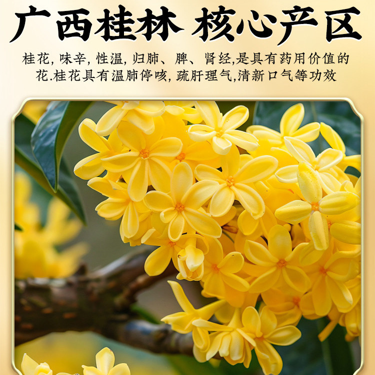Premium Dried Osmanthus Flowers Gui Hua 花茶 Herbal Tea Blend with Red Date Slices and Dried Ginger for Warming Daily Brews - Image 2