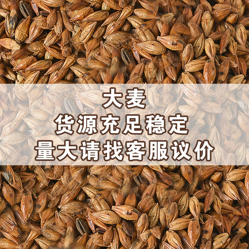 Roasted Barley Tea (Hordeum vulgare) — Low-Temperature Slow-Roasted Herbal Tea, 500g Loose - Image 2
