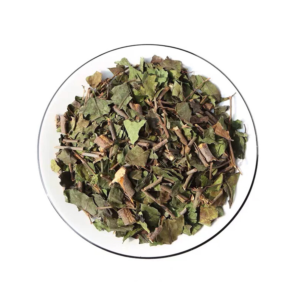 Dried Mulberry Mistletoe Sang Ji Sheng Cut Segments Natural Sun Dried Herb for Decoction and Tea 500g - Image 5