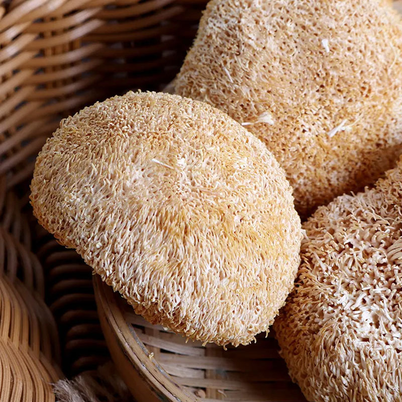Hou Tou Gu Dried Mushroom (Hericium erinaceus) — Wild-Grown Lion's Mane for Soup & Cooking - Image 3