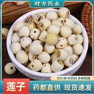Lotus Seed (Nelumbo nucifera) — Peeled & Core-Removed White Lotus Seeds, Food Herb for Congee & Soup