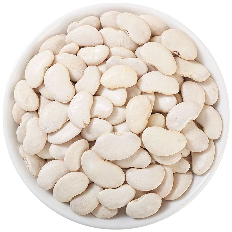 White Kidney Beans (Phaseolus vulgaris) — Dried Food Herb, 500g Bulk for Soups & Teas - Image 5