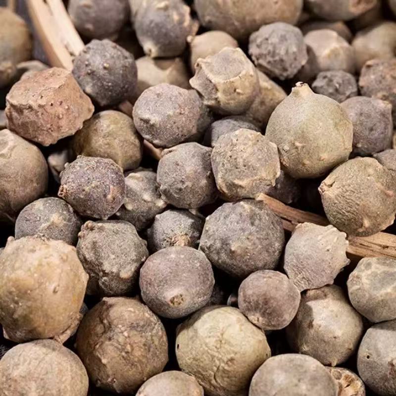 Mo Shi Zi (Quercus infectoria Oak Gall) — Dried TCM Astringent Herb, 500g - Image 2