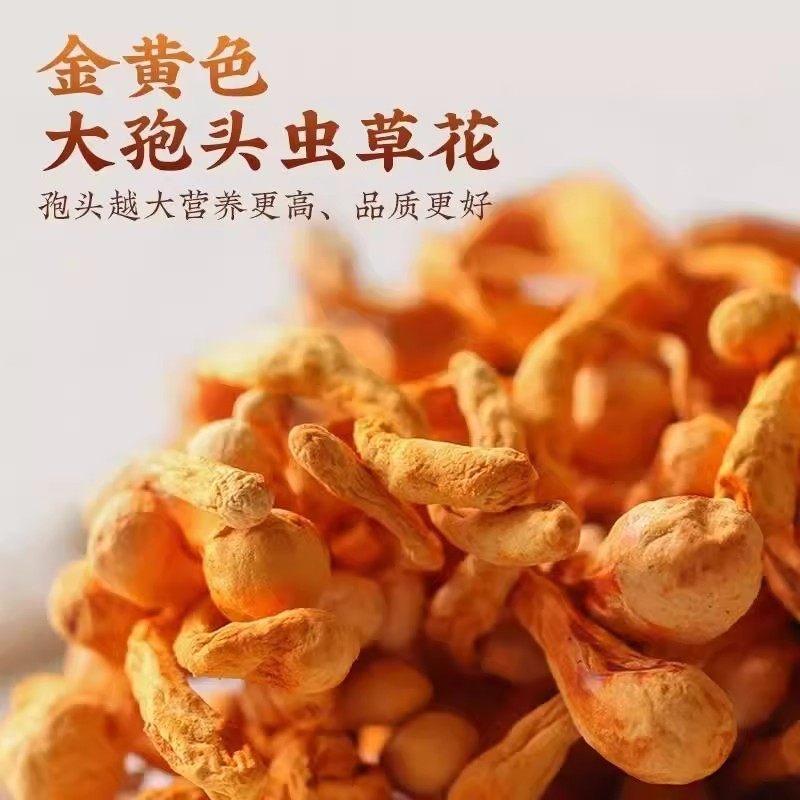 Premium Wild Cordyceps Flower Jin Chong Cao Dried Culinary Mushroom for Soup and Broth 25g Sample Pack - Image 2