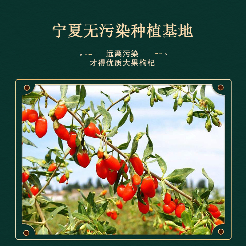 Ningxia Premium Goji Berries 500g Gou Qi Zi Dried Red Wolfberry for Tea Soup and Wine - Image 4
