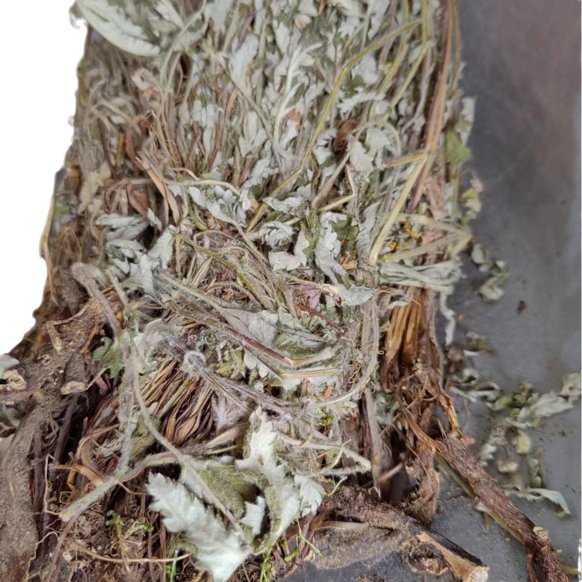 Fan Bai Cao (Potentilla discolor) — Dried Food Herb, Ultra-Fine Powder & Cut Form - Image 5