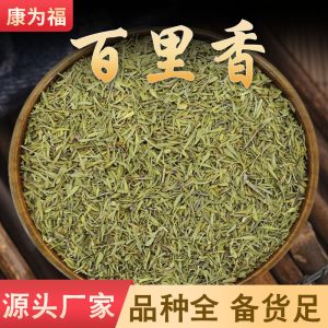 Thyme (Thymus vulgaris) — Dried Culinary Herb for Steak, Lamb & Western Cooking