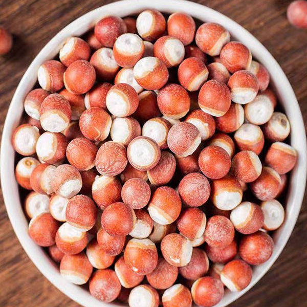 Dried Gorgon Fruit Qian Shi 500g Whole Euryale Seeds for Tea Soup and Congee - Image 3