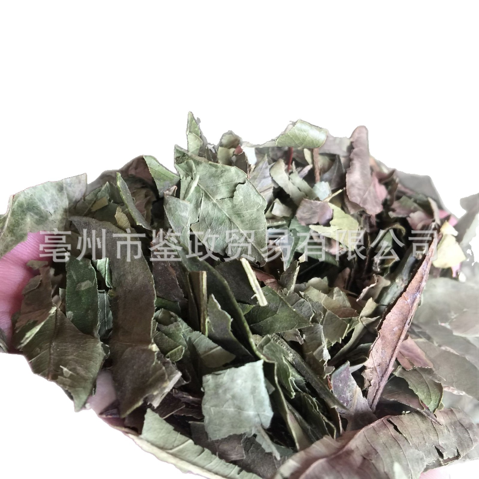 Dried Tangerine Leaf Ye Zi Loose Raw Herb 500g for Decoction and Tea - Image 5