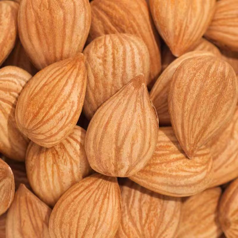 Peach Kernel Tao Ren 山桃仁 Dried Prunus persica Seed for TCM Decoctions 500g - Image 3