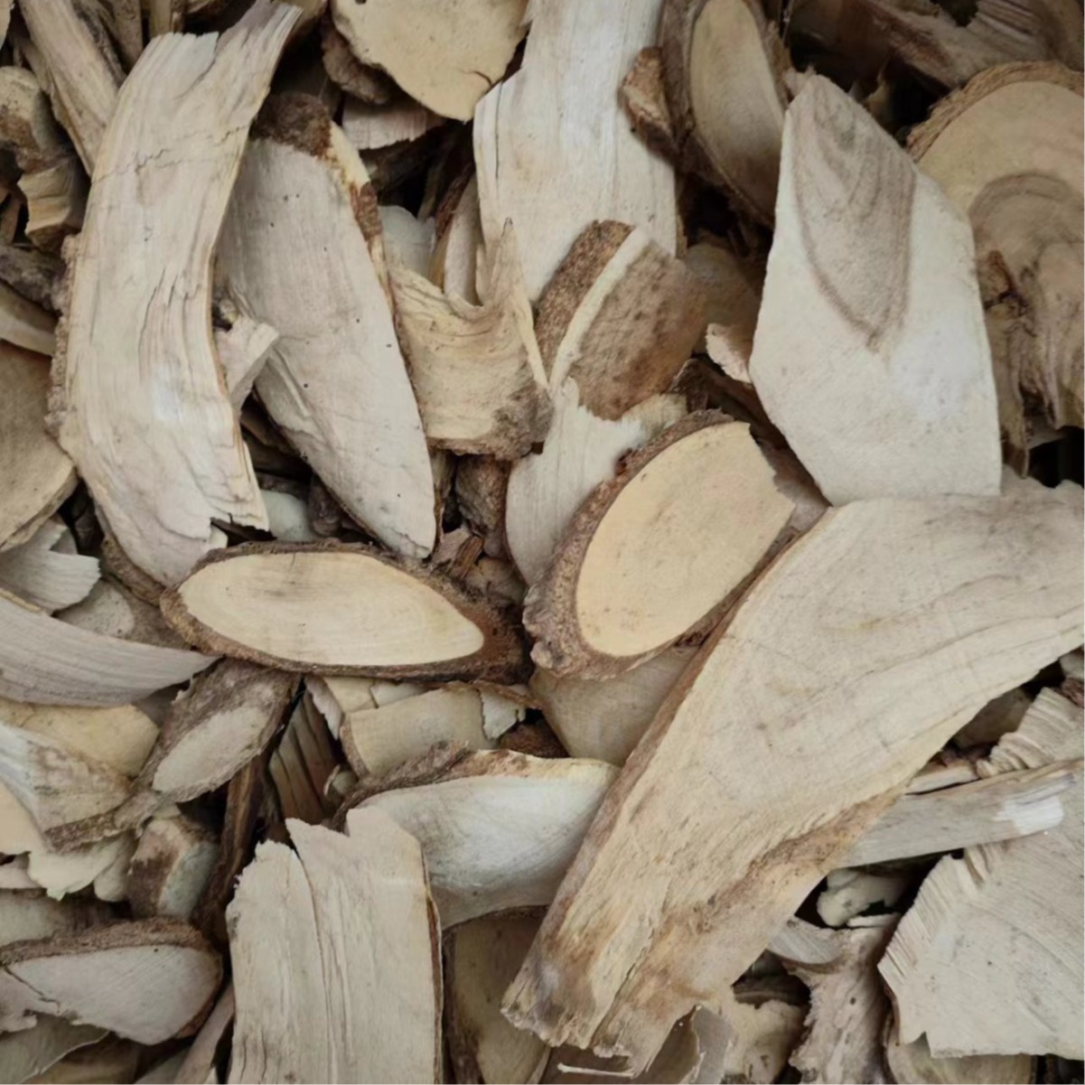 Niao Bu Su (Ilex cornuta) — Dried Bitter Holly Root Bark, Traditional Chinese Herb 500g - Image 3