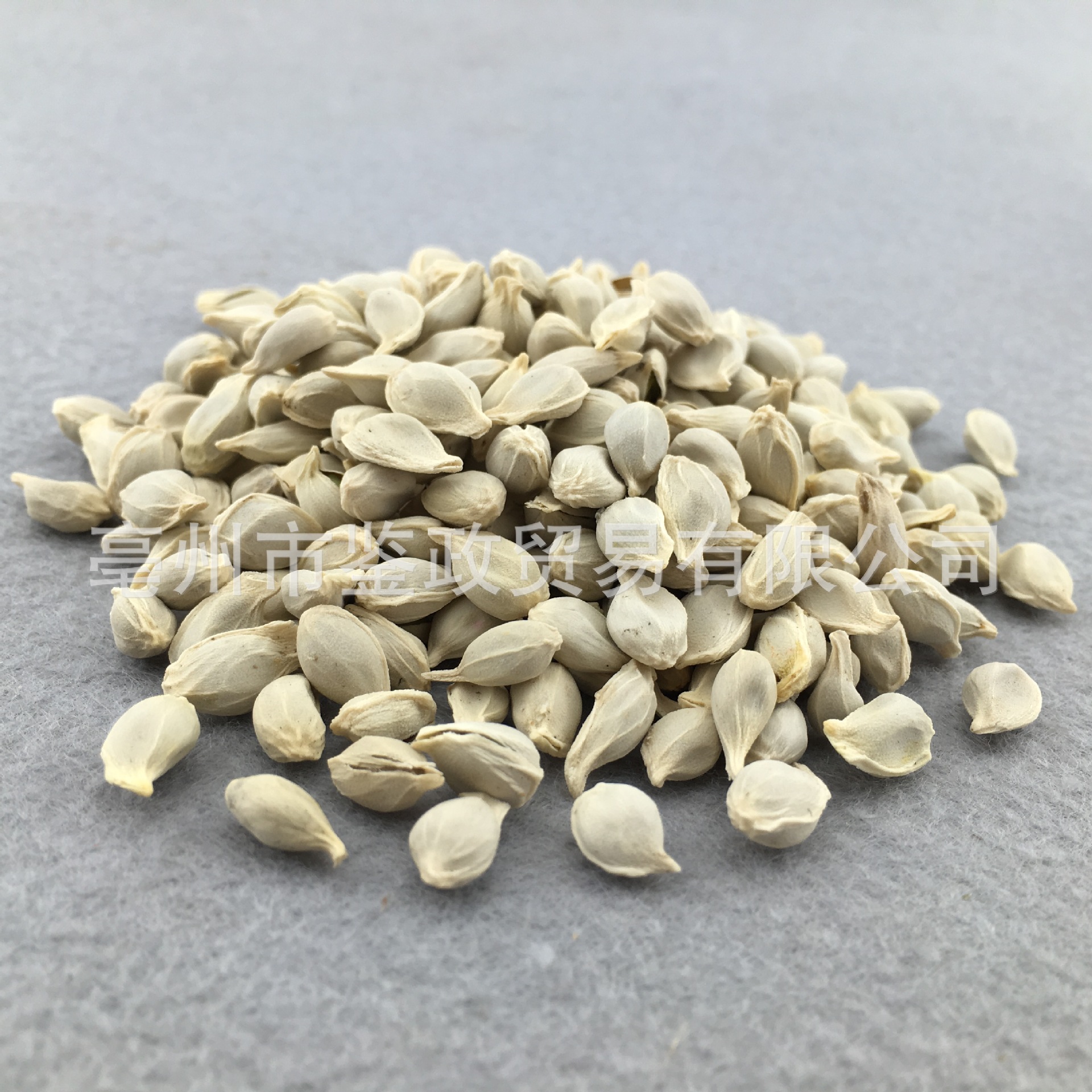 Dried Tangerine Seed Ju He Citrus Reticulata Bulk Herbal Tea Ingredient 500g - Image 3