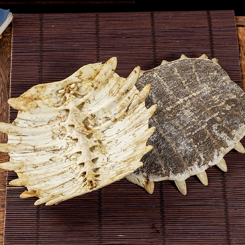 Bie Jia (Trionyx sinensis Carapace) — Vinegar-Processed Soft-Shell Turtle Shell, Dried TCM Herb - Image 3