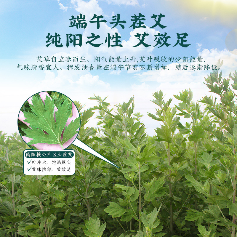 Premium Dried Mugwort Leaves Ai Ye 500g Bath and Foot Soak Herb Pack with 5 Non-Woven Bags - Image 3