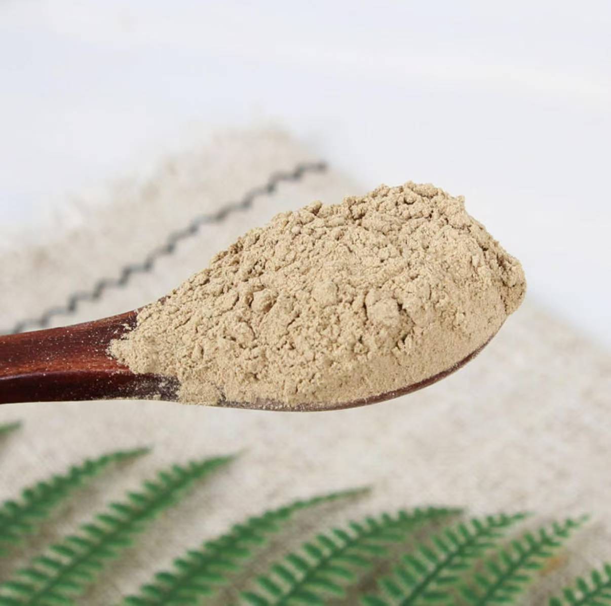 Dang Gui Powder (Angelica sinensis) — Pure Dried Food-Herb Root Powder, 500g - Image 3