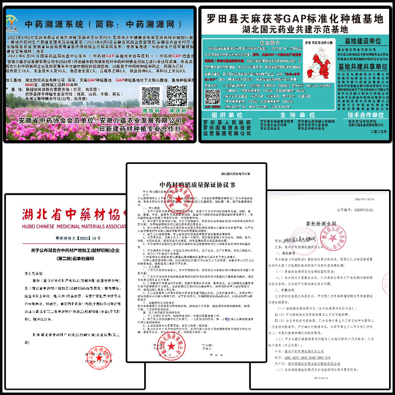 Fat Sea Seed Pang Da Hai 500g Sterculia Seed for Throat Soothing Herbal Tea Loose Bulk - Image 4