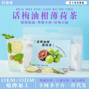 Preserved Plum & Phyllanthus Emblica Mint Tea — Freeze-Dried Fruit Herbal Blend with Lemon
