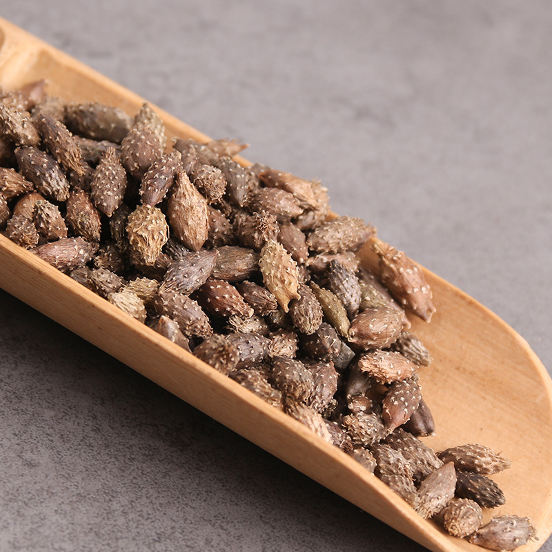 Cang Er Zi Dried Xanthium Fruit 500g Stir-Fried De-Spined Cocklebur Traditional TCM Herb - Image 2