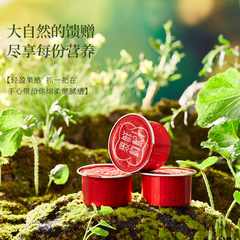Ning'anbao Freeze-Dried Goji Berry Gift Box Ningxia Goji Gou Qi Zi 240g Ready to Eat - Image 3