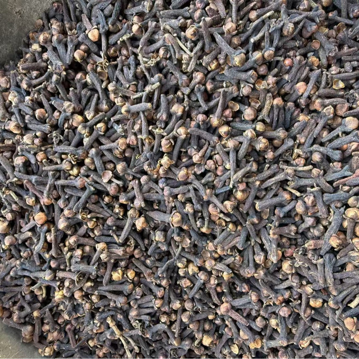 Dried Clove Spice Whole Buds for Cooking Braising and Hot Pot 500g - Image 2