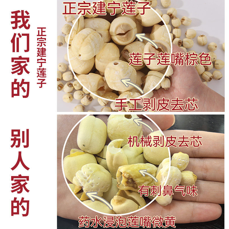 Jianning White Lotus Seeds 2025 Hand Peeled Dried Lotus Seed 500g No Sulfur for Soup and Congee - Image 2