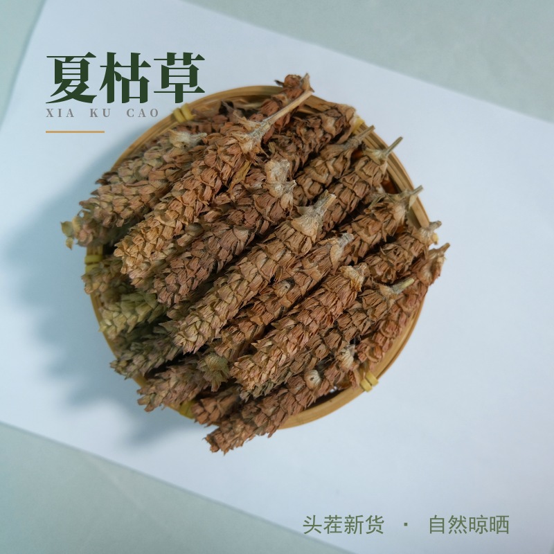 Dried Prunella Vulgaris Herb Cut Segments Xia Ku Cao for Herbal Tea and Decoction 500g - Image 2
