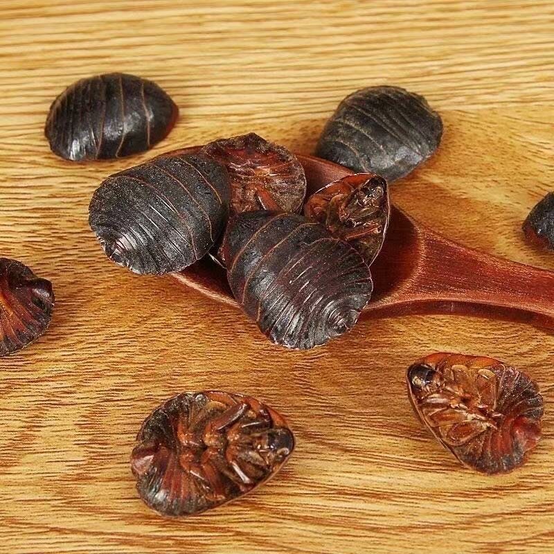 Dried Ground Beetle Tu Bie Chong 500g Wild-Caught Whole Insect TCM Herbal Ingredient for Decoction Use - Image 4
