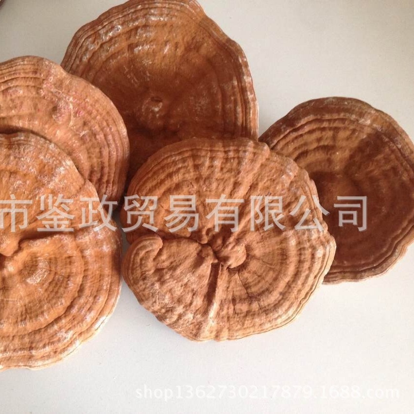 Dried Red Reishi Mushroom Whole Ling Zhi Ganoderma lucidum Traditional Herbal Tea and Decoction Herb 500g - Image 3