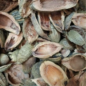 Da Fu Pi (Areca catechu Pericarp) — Dried Food Herb for Tea & Soup