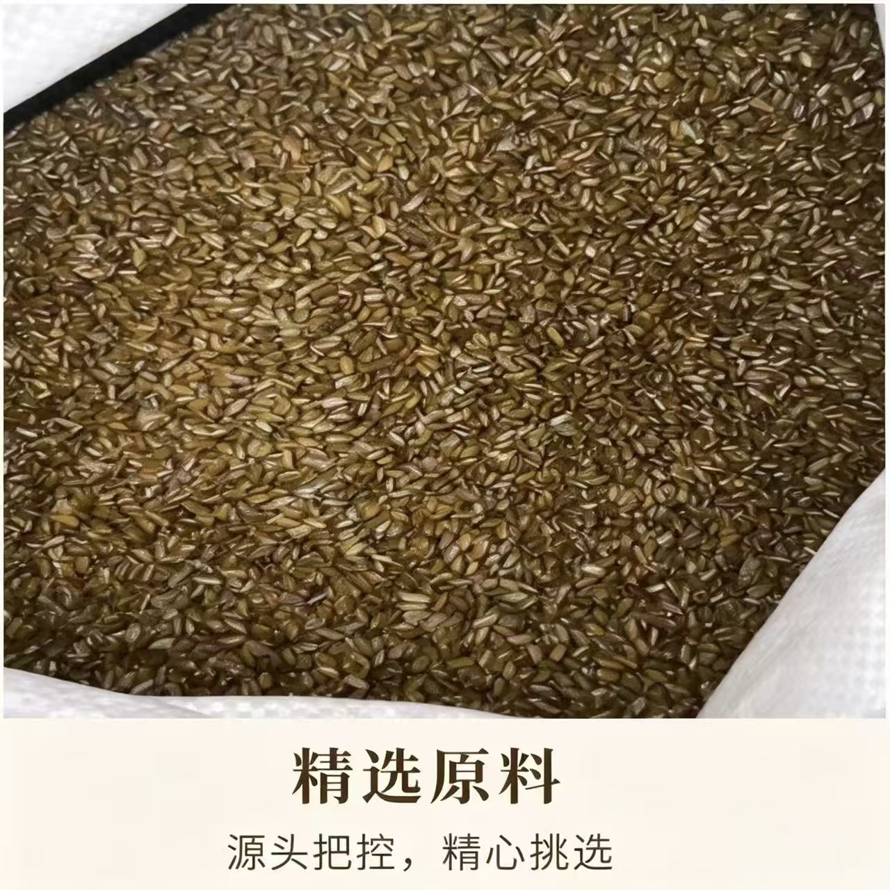 Cassia Seed Jue Ming Zi Dried Whole Seeds 1000g Herbal Tea Ingredient Bulk Pack - Image 3