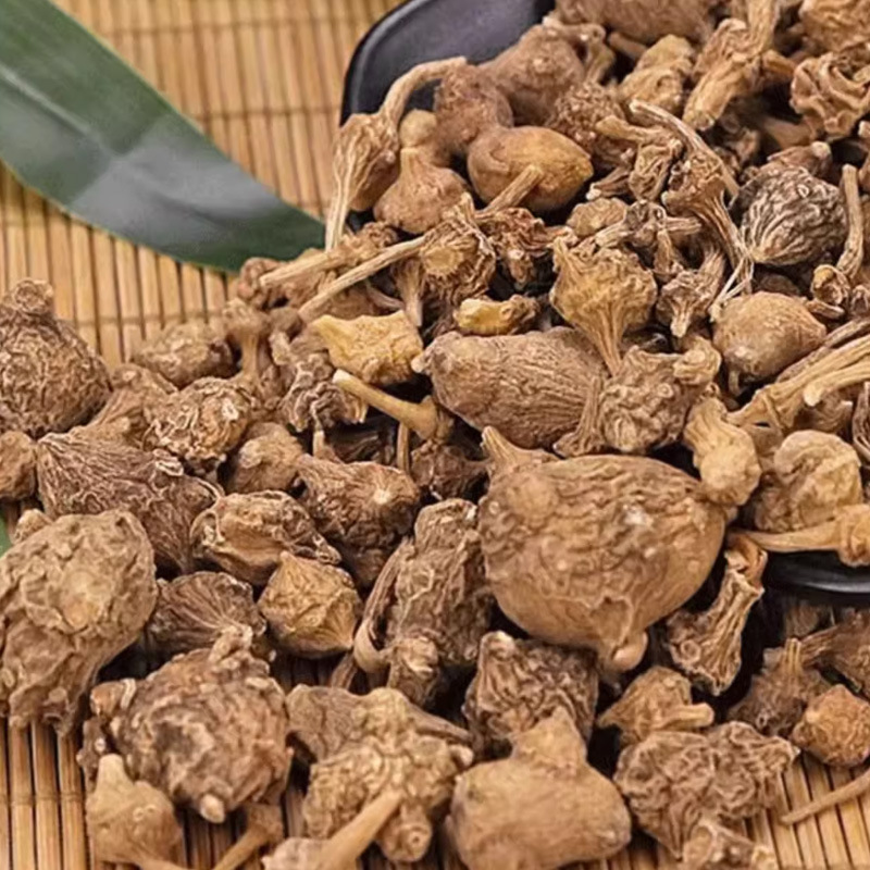 Zhu Zi Shen (Panax japonicus var. major) — Dried Rhizome Pieces, Food Herb for Tea & Soup - Image 2