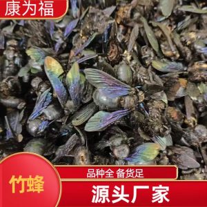 Zhu Feng (Bamboo Bee) — Dried Traditional Chinese Medicinal Insect, Sun-Dried Whole Body