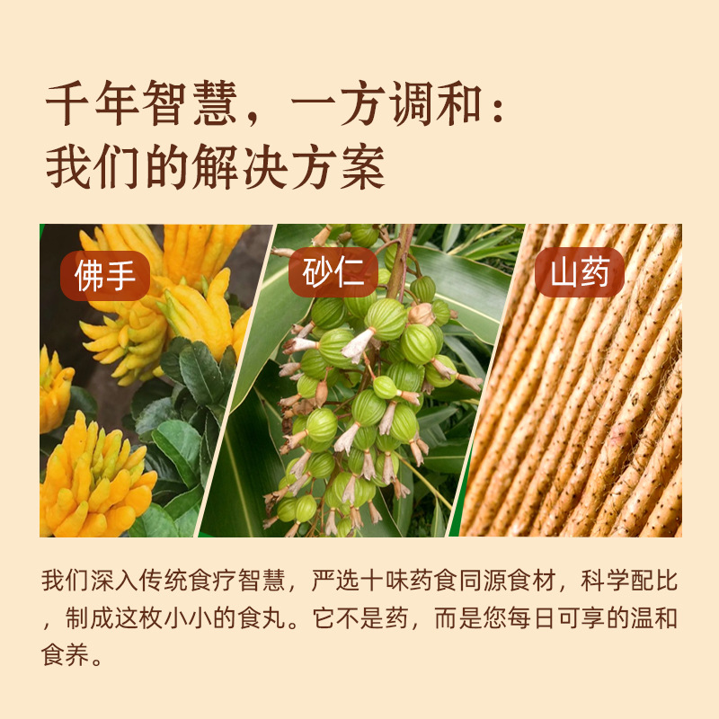 Foshou Sharen Herbal Wellness Pills 60g Bottle Traditional Digestive Support Honey Water Pills - Image 4