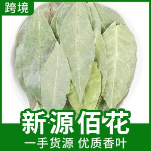 Xiang Ye (Laurus nobilis) — Dried Bay Laurel Leaves, First-Harvest Guangxi Culinary Herb, 500g