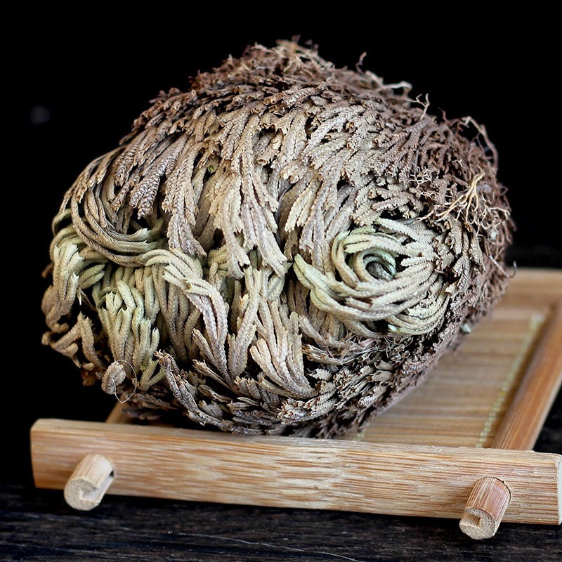 Dried Selaginella Herb Juan Bai 500g Resurrection Plant Raw Chinese Herbal Tea Material - Image 2